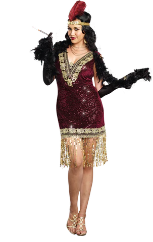 Sparkly 1920s Flapper Dress Costume (plus size)