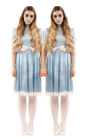 The Shining Twin Costume