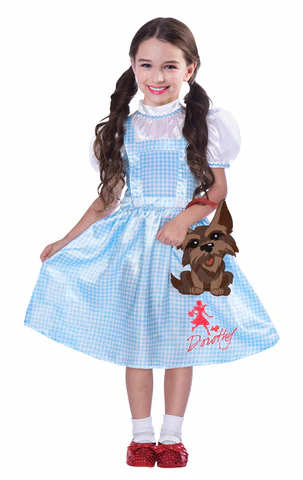 Childrens wizard of oz Dorothy costume
