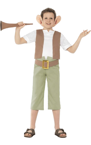 Child Roald Dahl BFG Costume