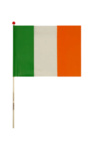 ireland hand flag accessory