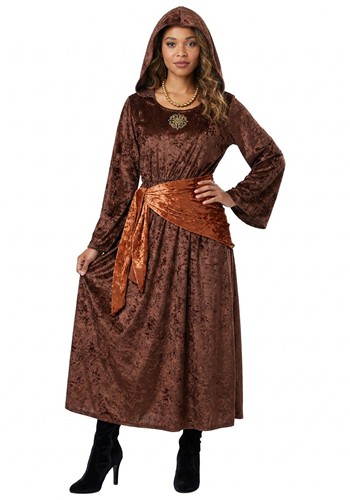 Womens Deluxe Brown Renaissance Lady Dress Costume