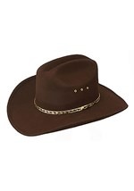 Brown Cowboy Hat