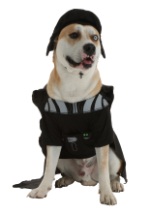 Darth Vader Pet Costume alt2