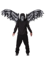 Fallen Angel Mask and Wings	
