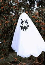 Flying Ghost	