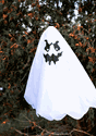 Flying Ghost	