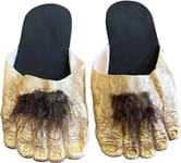 Hairy Feet
