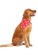 Red Skulls and Bones Bandana Pet Costume