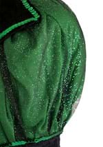 Adult Storybook Witch Costume