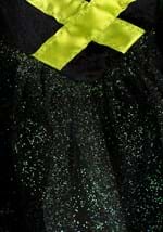 Adult Storybook Witch Costume