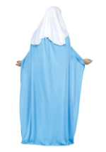 Mary Plus Size Costume