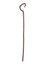 Shepherd Staff