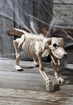 Beagle Bonez Update