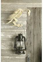 Skeleton Vulture