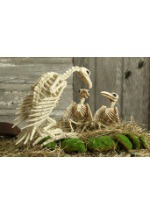 Skeleton Vulture alt 1