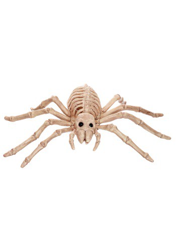 Mini Skeleton Spider