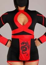 Women's Dragon Ninja Costume Alt 2