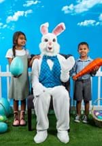 Plus Size Mascot Easter Bunny Costume for Adults
