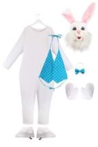 Plus Size Mascot Easter Bunny Costume for Adults