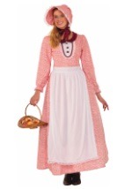 Pioneer Woman Costume