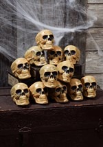 12 pc. Bag of Skulls Update