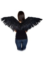 Mocking Jay Wing 16x48" Black