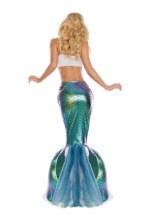 Under the Sea Mermaid Women's Costume