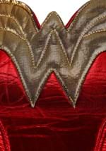 Adult DC Wonder Woman Costume