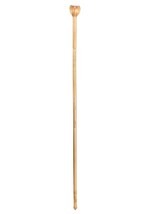 Snake Staff