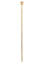 Snake Staff