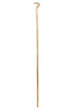 Snake Staff