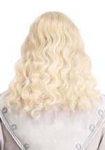 Headmaster Wizard Adult Wig and Beard alt