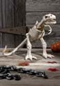 16" T-Rex Skeleton