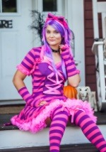 Sexy Wonderland Cat Costume