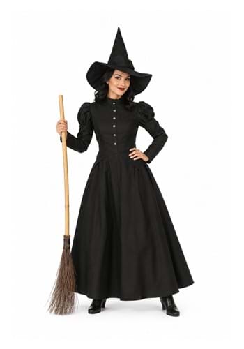 Deluxe Wicked Witch Costume New Main