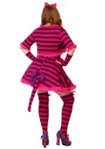 Plus Size Sexy Wonderland Cat Costume