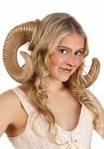 Adult Ram Horns Alt 1