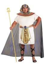 Plus Size King Tut Costume