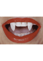 Retractable Fangs Default Up