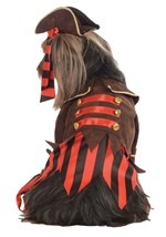 Pirate Boy Pet Costume Alt 1