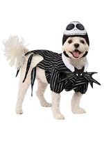 Nightmare Before Christmas Jack Skellington Pet Co