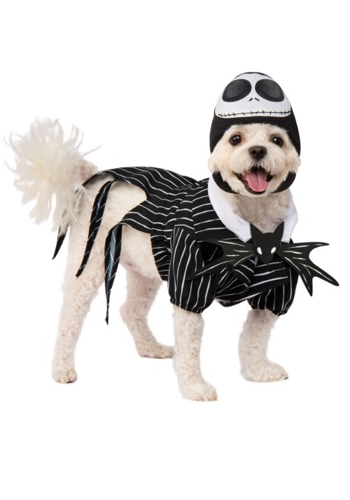 Nightmare Before Christmas Jack Skellington Pet Co