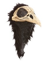 Crow Bird Helmet Alt 2