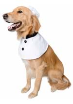 Chef Pet Costume Alt 2