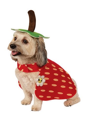 Yummy Strawberry Dog Costume