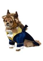 The Beast Pet Cat Costume
