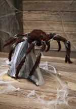 Animated Brown Jumping Spider
