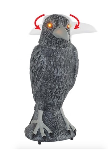 Animated Spooky Raven Décor