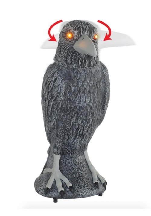 Animated Spooky Raven Décor